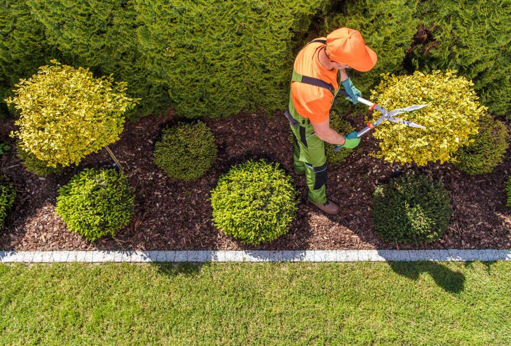 A United Land And Snow Management employee trims a plant in NJ 